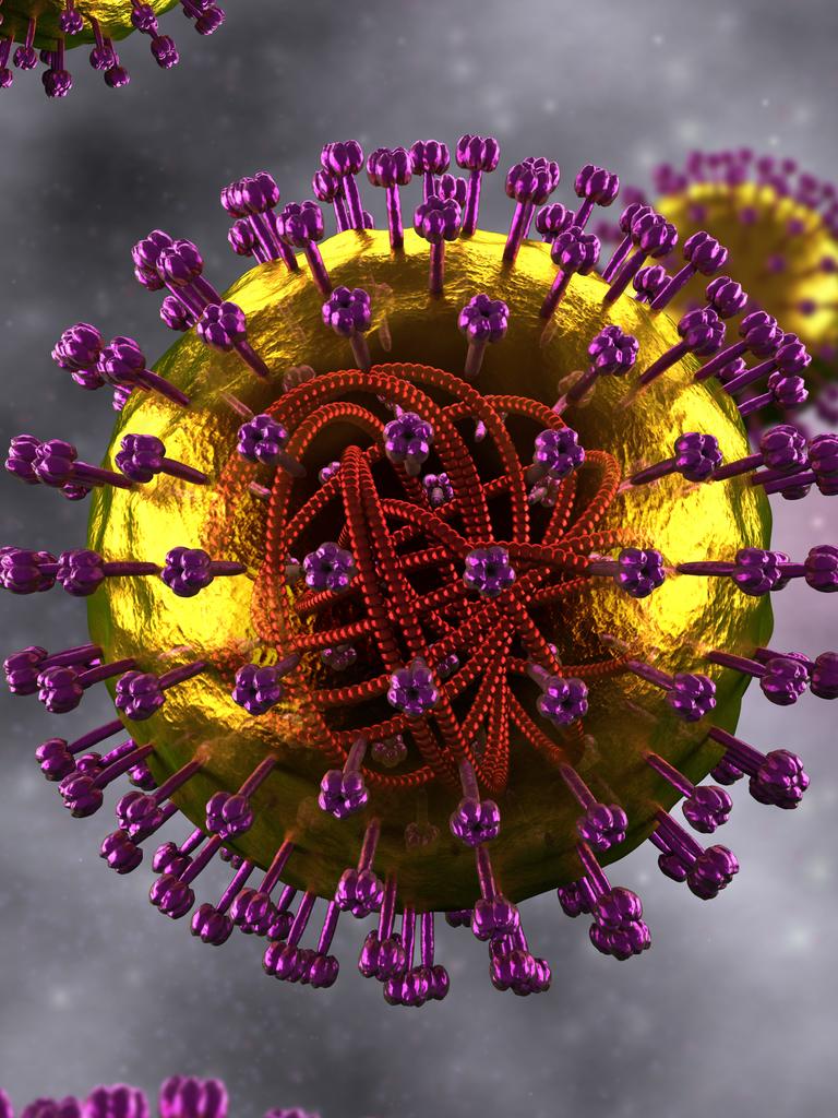 A measles cell.