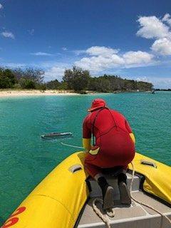 Lifesavers have discovered an Irukandji jellyfish off Fraser Island.