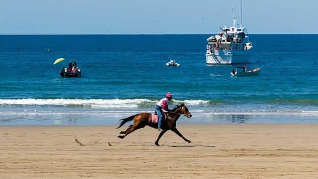 The Mackay Beach Horse Racing Festival, started in 2012 by Mick Pope, has been on hiatus since 2017. Picture: Mackay Tourism