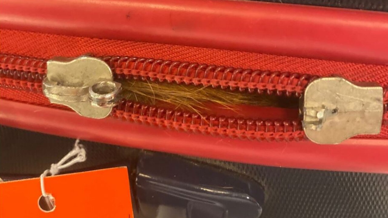 Officials spotted ginger hair poking out from the suitcase’s zip, which had been checked in for the flight. Picture: TSA