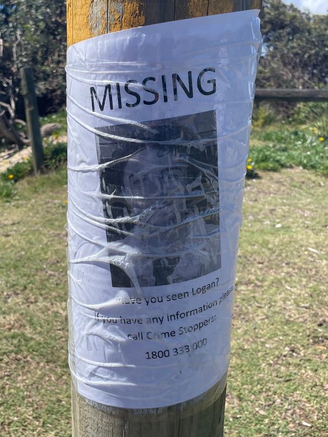 ”Missing” posters put up after his disappearance have begun to fade.