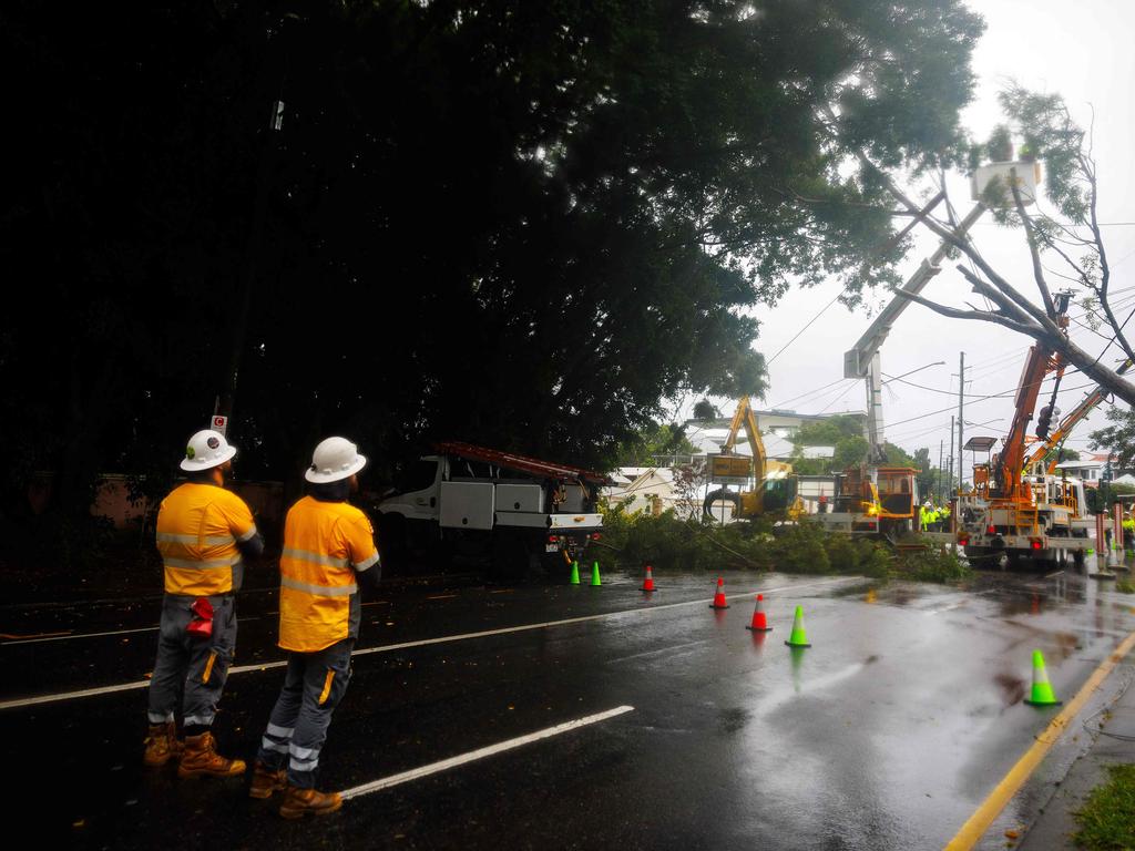 Energex crews clear a fallen tree.