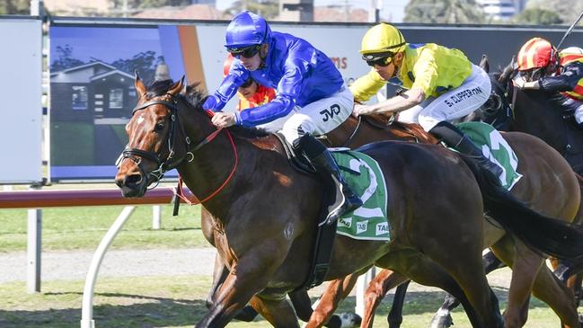 Creek can bounce back from a game second last start when he heads to Hawkesbury. Picture: Bradley Photos