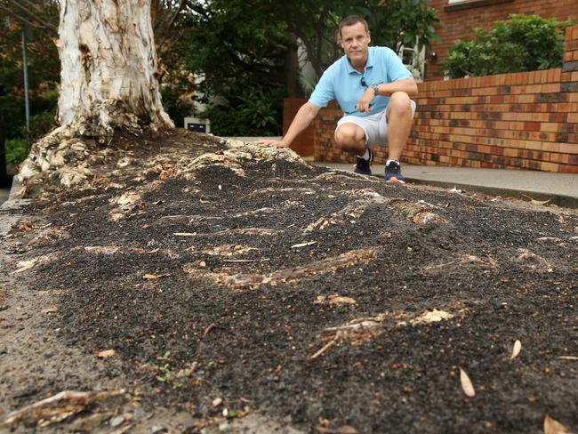 Raglan St resident Chris De Gray next to the nature strip. Picture: Annika Enderborg