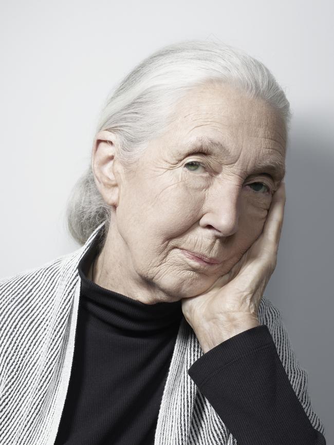 Jane Goodall in 2022. Picture: Jouk Oosterhof