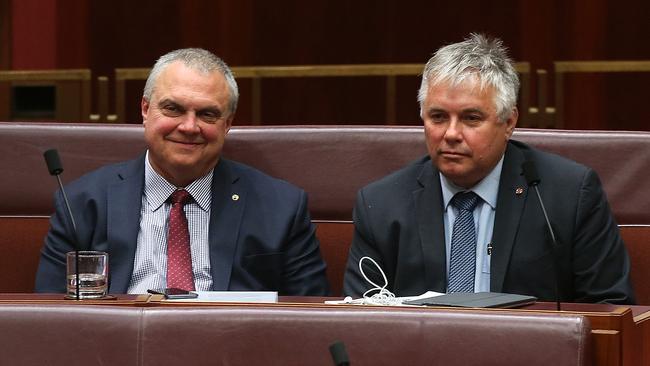 Senators Stirling Griff and Rex Patrick in the Senate at Parliament House in Canberra. Picture: Kym Smith