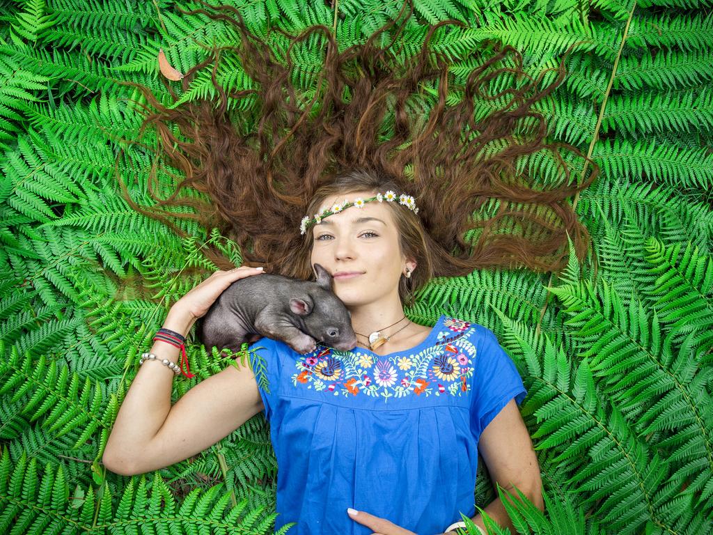 Animal Carer and rescuer Nell Pedzik, 22 from Mt Evelyn with baby wombat Claus. 5 month old Claus was lucky to be found, when a stranger pulled over to check the pouch of an adult wombat dead on the side of the road. Picture: Jason Edwards