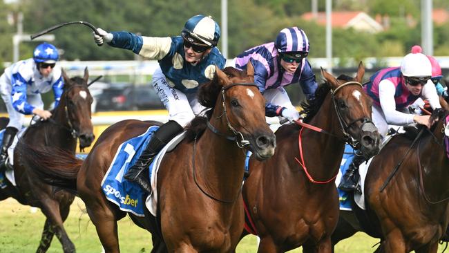 Jimmysstar finished powerfully to win the Oakleigh Plate first-up. Picture: Vince Caligiuri/Getty Images