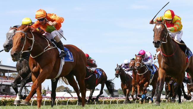 Terravista wins the 2104 Darley Classic from Chautauqua (far left) and Lankan Rupee (far right). Picture: George Salpigtidis