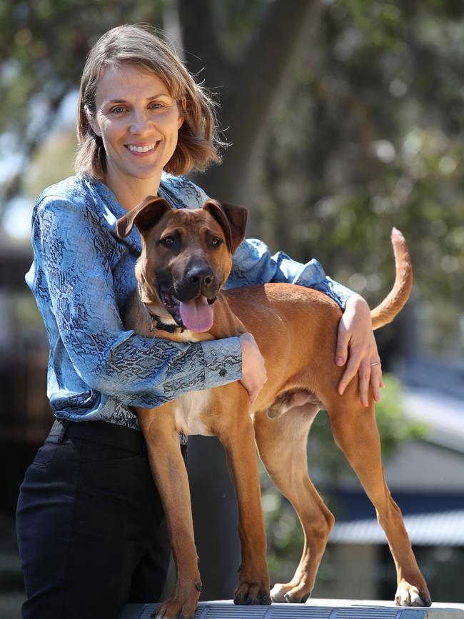 Dr Elizabeth Arnott is the chief vet at RSPCA NSW. Pictured with Dobie, a mastiff-cross currently available for adoption. Picture: David Swift