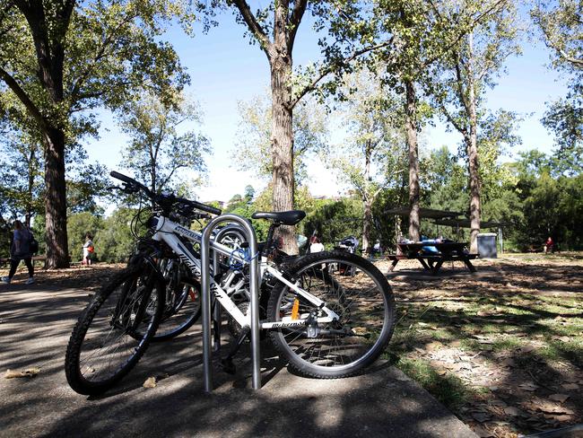 Steel Park in Marrickville. Marrickville Council has released a $15 million, 10-year masterplan for their reserves along the Cooks River.