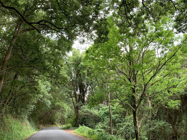 The tragedy happened at a property on Mafeking Road, about 30km west of Byron Bay.