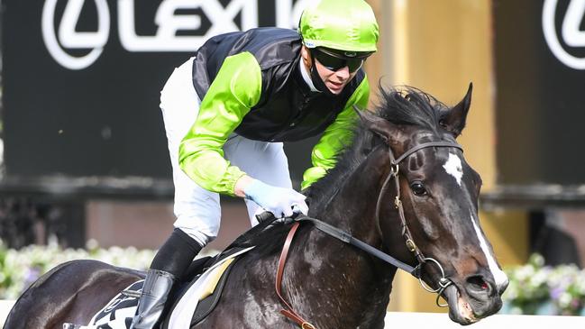 Persan ridden by Jye McNeil wins the The Bart Cummings , at Flemington Racecourse on October 03, 2020 in Flemington, Australia. (Natasha Morello/Racing Photos via Getty Images)