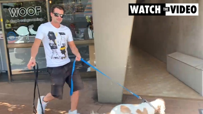 Melissa Caddick's husband spotted in Rose Bay with his dogs