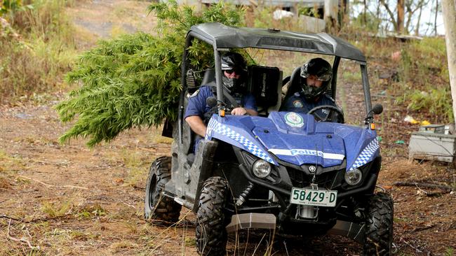 Marijuana plants were transported by land. Picture: Nathan Edwards