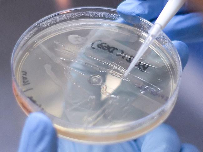 (FILES) In this file photo taken on March 26, 2020 A researcher works on the development of a vaccine against the new coronavirus COVID-19, in Belo Horizonte, state of Minas Gerais, Brazil. - Brazil is in the forefront of vaccines for the new coronavirus, testing in large scale and preparing for the production of millions of dosis. On the other hand from Europe of China, the virus is expanding in the country which is second in the world in number of cases after the United States, an ideal situation to test the effectivity of a vaccine. (Photo by DOUGLAS MAGNO / AFP)