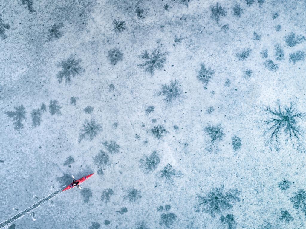 Photo by Stefan Thaler / National Geographic Nature Photographer of the Year contest Iceflowers THIS PHOTO WAS MADE IN MY HOMETOWN, CALLED THIERSEE, A SMALL VILLAGE IN THE HEART OF THE ALPS (TYROL, AUSTRIA). JUST FOR A FEW DAYS YOU CAN SEE THESE NATURAL PATTERNS IN THE MELTING ICE.