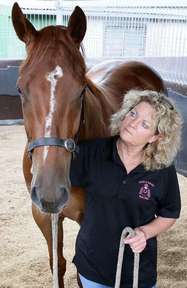 Davies’ stunning training form is set to continue at Muswellbrook