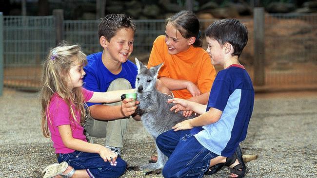 Youngsters get friendly with a kangaroo in June 2003.