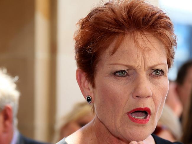 Pauline Hanson has outlined her blueprint for Australia. Picture: Colin Murty