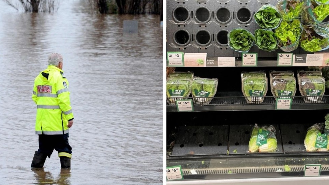 Inondations NSW: les agriculteurs préviennent que les prix des légumes à Sydney augmenteront encore plus