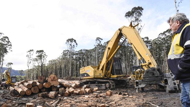 DLogging contractors feel like they’re being persecuted, not only by the activists, but now by the government. Photo: DANNIKA BONSER