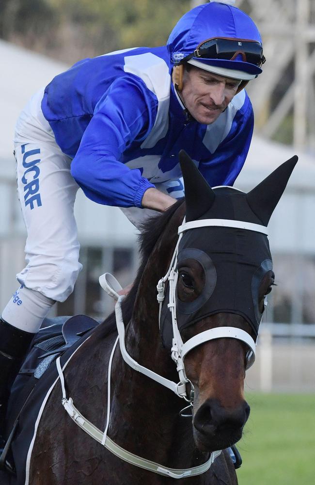 'Winx takes out her 19th straight win at Royal Randwick. Picture: Simon Bullard