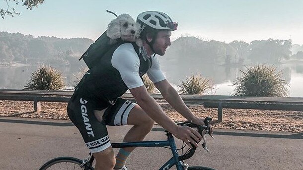 Manly’s Brendan Elliot and his dog cycling through Centennial Park. Picture: Instagram