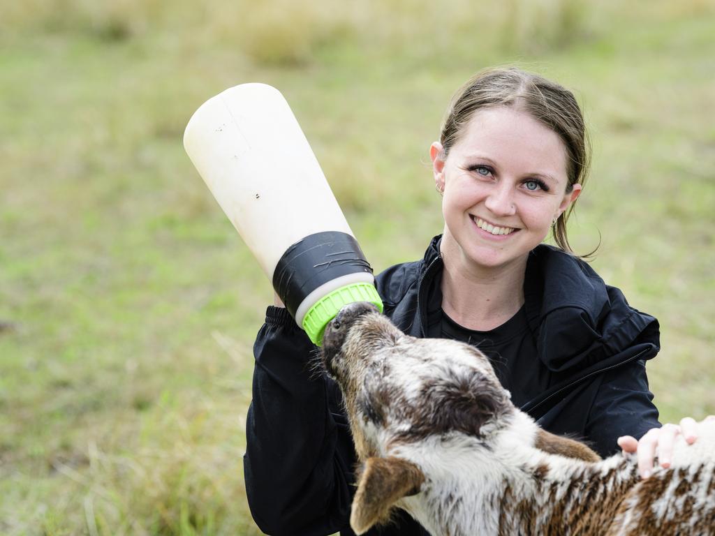 Homestay guest Lauren Stokes feeds a calf at Stones Throw Away near Pittsworth, Saturday, March 29, 2025. Picture: Kevin Farmer