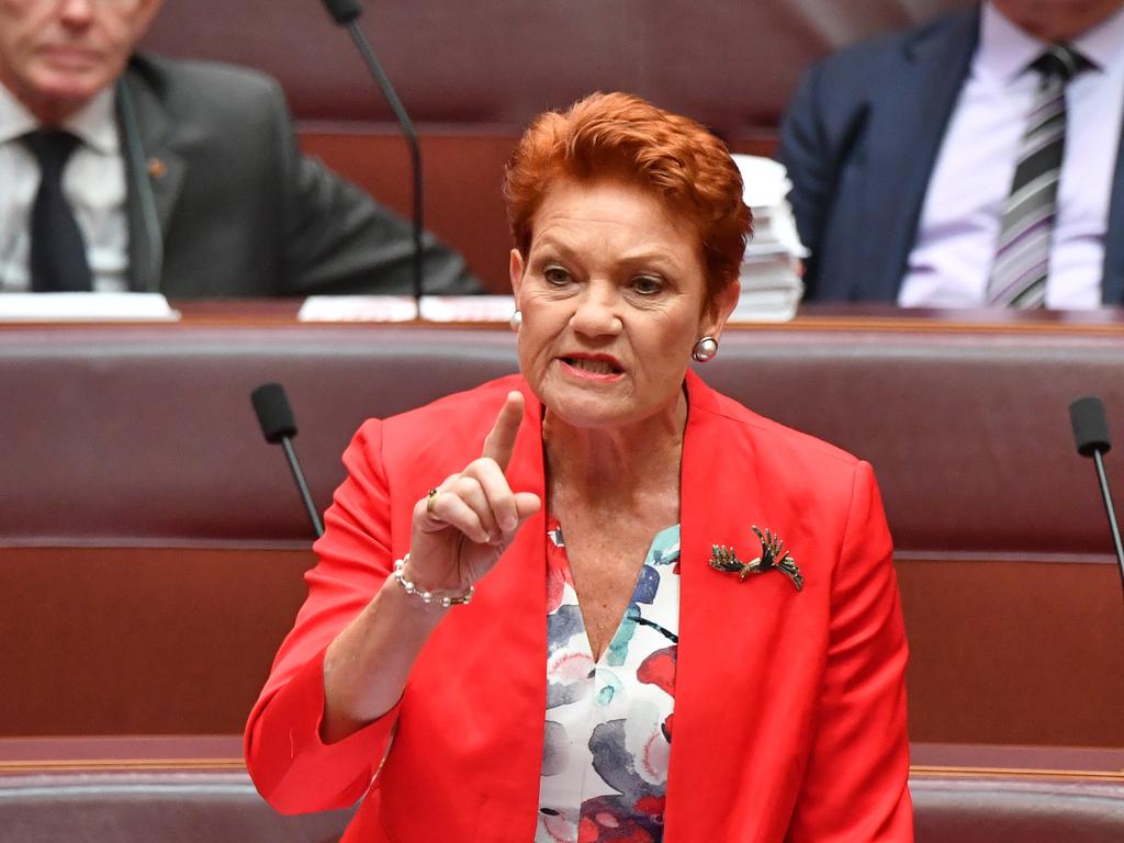 ‘If the Labor Party go along with this, then you‘re bloody gutless because you should have actually put up an amendment for how you’re going to get the money back,’ One Nation Senator Pauline Hanson yelled into the chamber. Picture: Sam Mooy / Getty Images