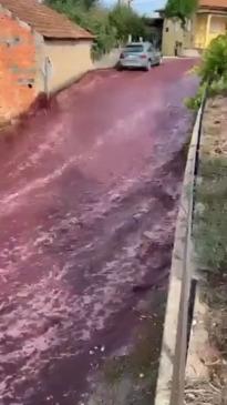 Tanks of wine floods Portugal street