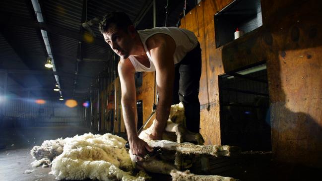 Professional shearer Dwayne Black shows his record-breaking style shearing sheep at the Feed Lot in Mundijong, Perth.