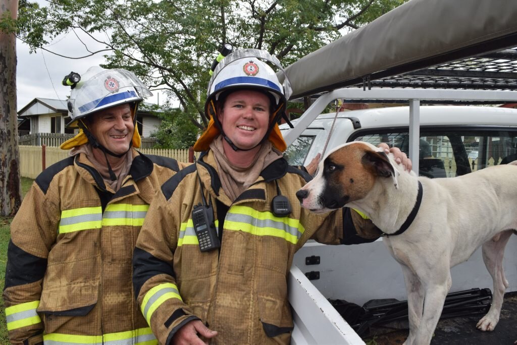 Don and Dan Harris with Joker, the dog they saved from a house fire in Dalby. Picture: Alasdair Young