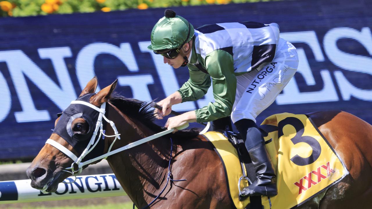 Sydney Racing: Stakes Day