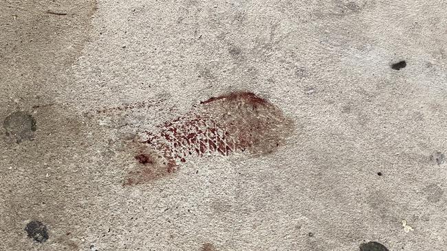 A bloodied footprint was at the scene. Picture: Katrina Muhsin/10 NEWS FIRST