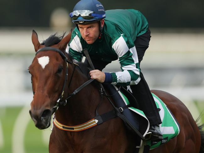 SYDNEY, AUSTRALIA - APRIL 09: Tommy Berry rides Place Du Carrousel during TAB Trackwork with the Stars at Royal Randwick Racecourse on April 09, 2024 in Sydney, Australia. (Photo by Mark Metcalfe/Getty Images)