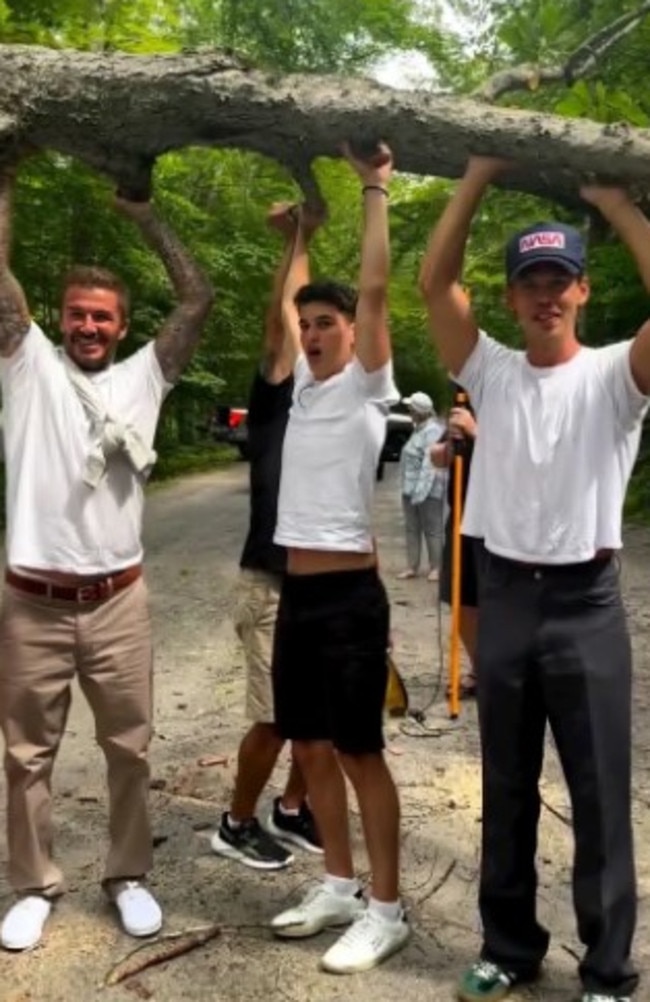 David Beckham and Austin Butler help lift fallen tree from road in ...