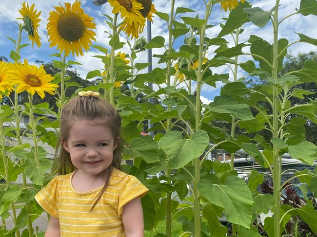 Harper Grace is sunshine; charming, cheeky and cheerful. <b><a href="https://www.dailytelegraph.com.au/newslocal/blacktown-advocate/vote-help-us-find-the-cheekiest-toddler-in-nsw/news-story/9ae7eb32bd93be85a472b448d0c19dda">VOTE HERE </a></b>