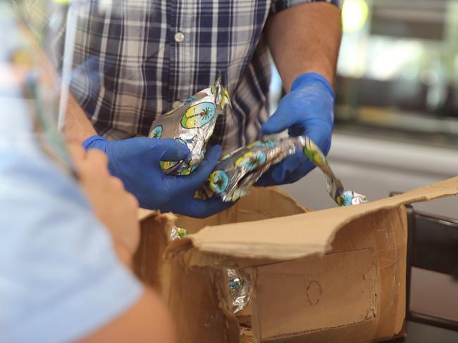 Detectives sort through boxes at a restaurant that was raided on Tuesday in Bankstown. Picture: John Grainger