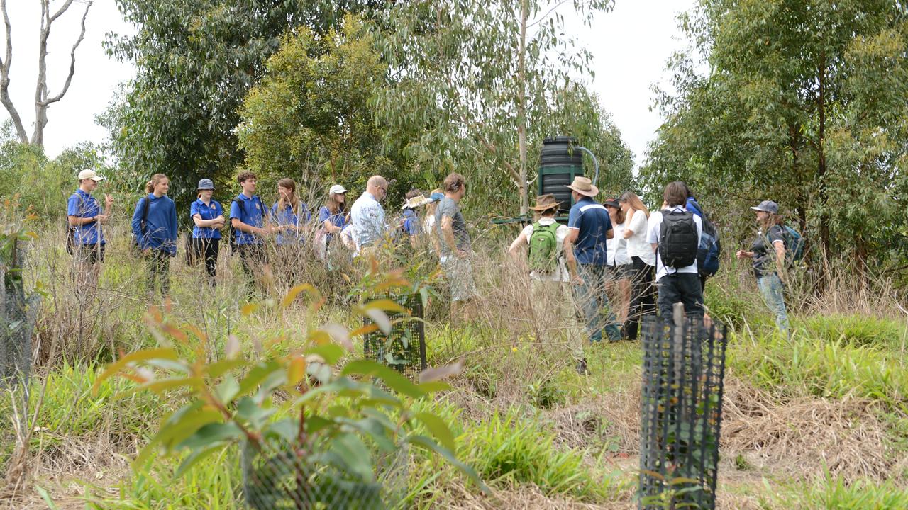 Mullumbimby High School students have launched a new project, Trees for Koalas - Connecting Communities, to increase the number of koala food trees on private properties within the Byron Shire. The group toured a Binna Burra property on Tuesday, October 27, before planting 400 new koala food trees to build upon existing plantation works. Picture: Liana Boss