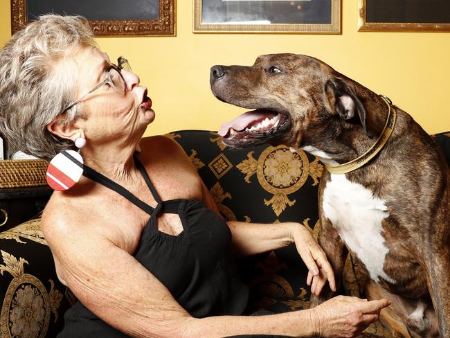 Barbara Goldstein from Paddington gives her 5-year-old rescue dog Nigel animal prozac. The price of pet antidepressants and other medications has skyrocketed due to shortages caused by COVID. Double Bay Vet Geoff Golovski said vets routinely give human prozac to animals because it's completely safe and cheaper. Now he can only prescribe animal prozac which can be triple the price. Picture: Jonathan Ng