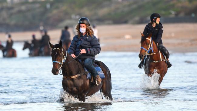 Trainer Ciaron Maher riding Melbourne Cup favourite Sir Dragonet during a beach trackwork session at Mordialloc Beach. Picture: Getty Images