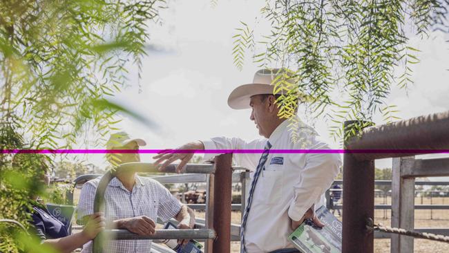 Auctioneer Paul Dooley of Tamworth (right) talks to Robert Thomson during the Yarram Park Stud Female Dispersal. Picture: Nicole Cleary