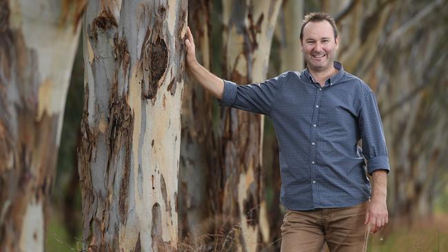 Gum forest: Dean Nicolle has an arboretum at Currency Creek. Picture: Naomi Jellicoe