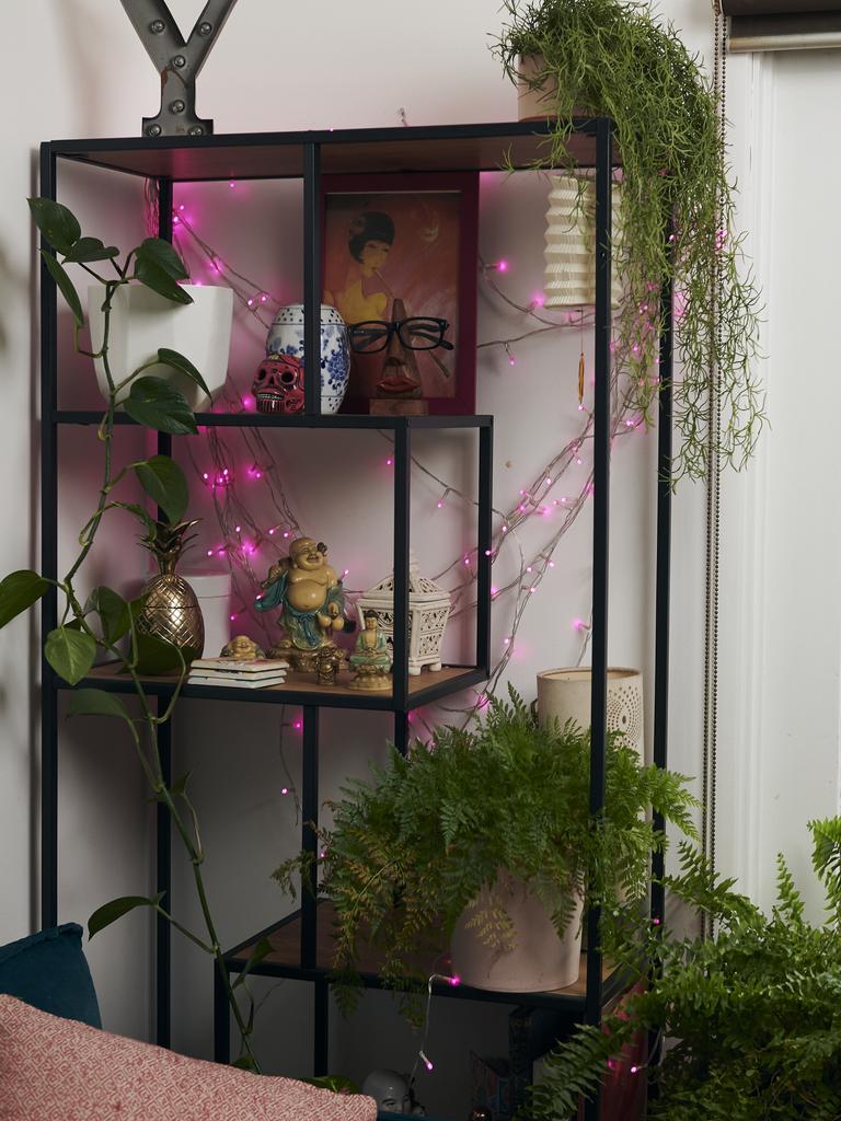 Plant shelf. Picture: Eugene Hyland