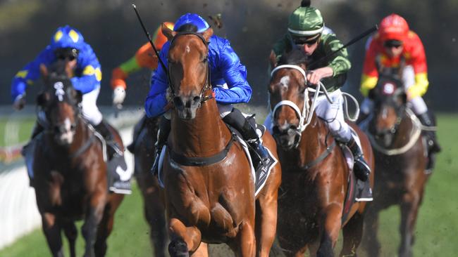 Bivouac led home fellow Golden Rose contenders at Rosehill. Picture: AAP