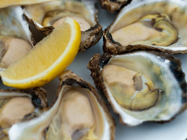 Urgent recall for popular oysters