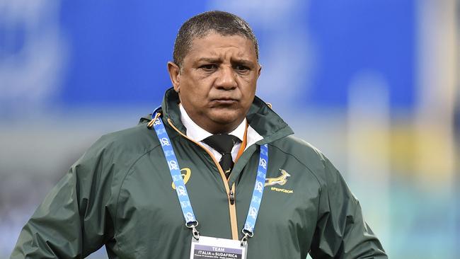 Allister Coetzee is under pressure to keep his job after South Africa lost to Italy.