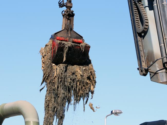 Part of a fatberg that was removed from Hunter Water's wastewater treatment plant at Morpeth in late 2019.