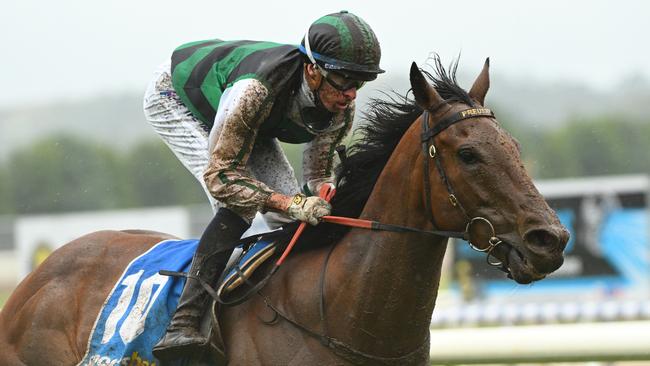 Michael Dee cruised to the line on Captain Envious. Picture: Vince Caligiuri/Getty Images